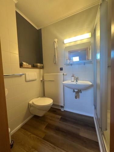 a bathroom with a toilet and a sink at Hotel Hohe Reuth in Bocka