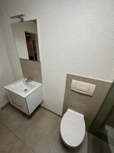 a bathroom with a white toilet and a sink at Monteurswohnung Schwarzwald in Eggingen