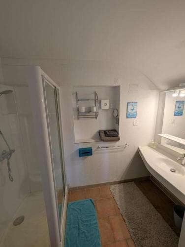 a bathroom with a shower and a sink and a mirror at Chambres des Gatinelles in Erbray