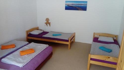 a room with two beds and a ythonythonython at Apartmány Amaris in Strachotín