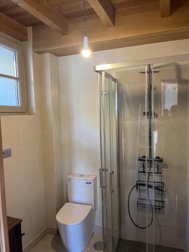 a bathroom with a toilet and a shower at Casa Rural A Costa - Villa Rustica Asturias - Boal in Boal