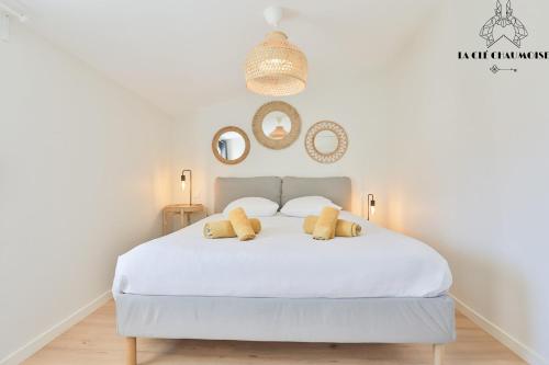 Cygne I Jolie maison marais d'Olonne I JACUZZI