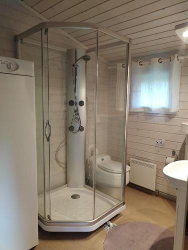 a glass shower in a bathroom with a toilet at The red cottage in Kumlinge in Kumlinge
