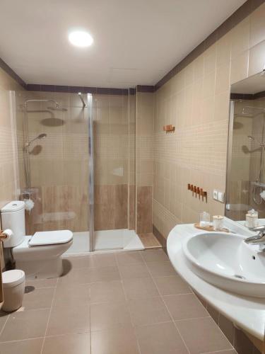 a bathroom with a shower toilet and a sink at Living Sevilla & Parking gratis in Seville