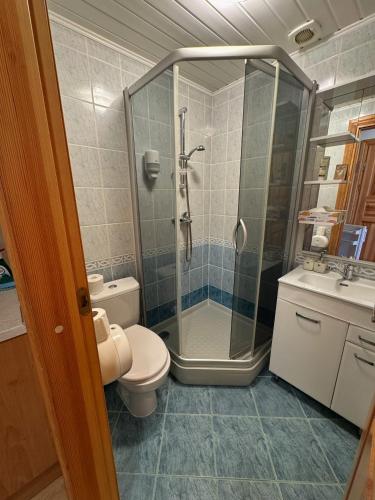 a bathroom with a shower and a toilet and a sink at Vila Banga in Nida