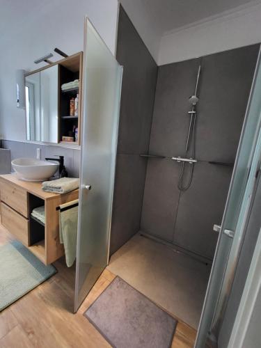 a bathroom with a shower and a sink at Ferienwohnung Zum Adlernest in Hellenthal