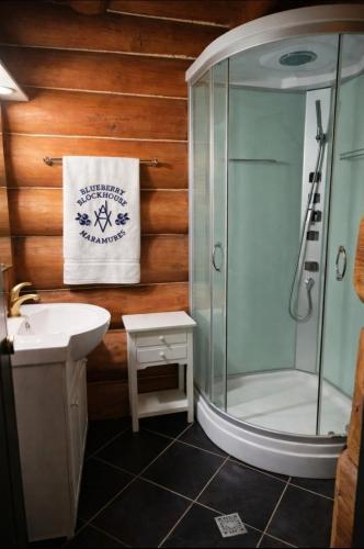 a bathroom with a shower and a sink at Blueberry Blockhouse in Hărniceşti