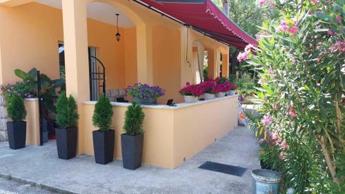 Apartment Near the sea