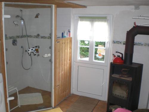 a bathroom with a shower and a glass door at Ferienwohnung Ferien im Dorf in Bleckhausen