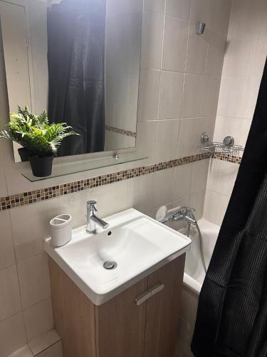 NOUVEAU ! Joli appartement 2 pièces - Proche de la mer