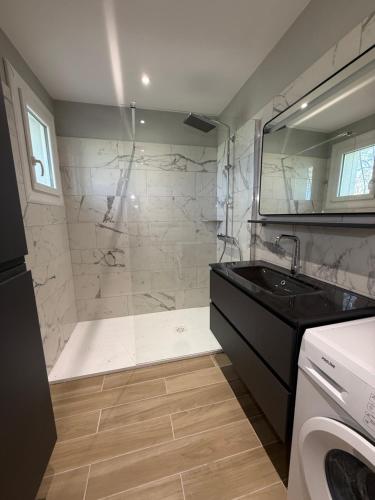 a bathroom with a shower with a sink and a tub at La grange de Tombeloly in Clermont-de-Beauregard