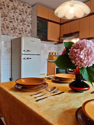 Vintage apartment Erjavec