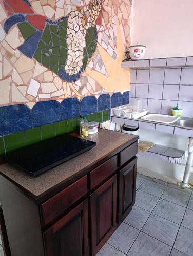 a kitchen with a counter and a mosaic wall at Apartamentos Novoa in San José