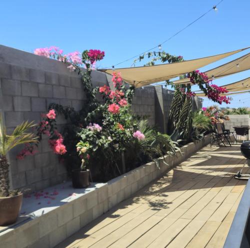 a retaining wall with flowers on a patio at Santas y Santos in Todos Santos