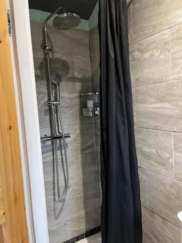 a shower with a shower curtain in a bathroom at The Aultnamain Shepherds Hut in Wester Fearn
