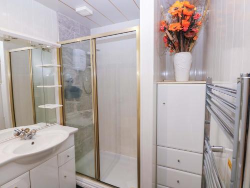 a bathroom with a shower and a sink at 1 Hilton Flats in Tenby