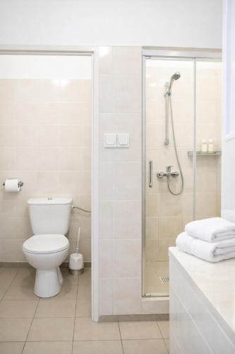 a bathroom with a shower and a toilet at Pensjonat u Bernackich in Smołdzino