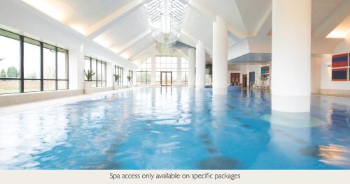 a swimming pool with blue water in a building at Champneys Springs in Ashby de la Zouch
