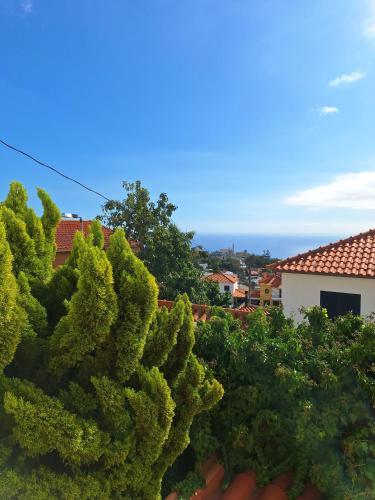 a view from the roof of a house with trees at Skyline Home Funchal in Funchal