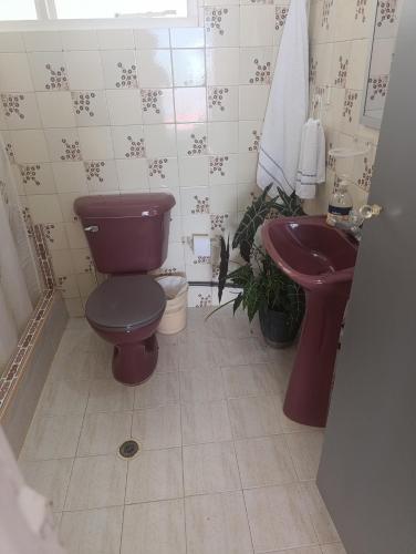 ein Badezimmer mit einer lila Toilette und einem Waschbecken in der Unterkunft Pradolago Sol Prado Tolima in Prado