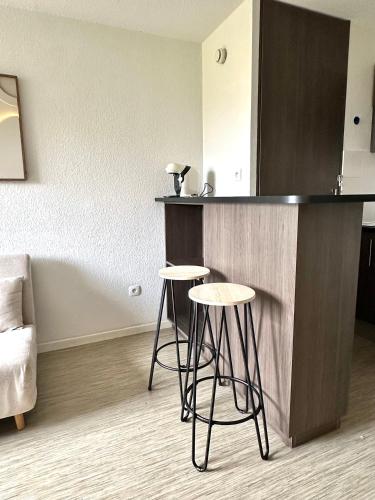 Le Cocon Griffon - parking, fibre, proche Toulouse