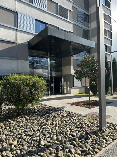 Le Cocon Griffon - parking, fibre, proche Toulouse