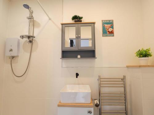 a bathroom with a sink and a shower at Faodail Studio in Portree