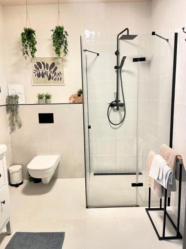 a bathroom with a shower and a toilet at Sea & Home in Gąski
