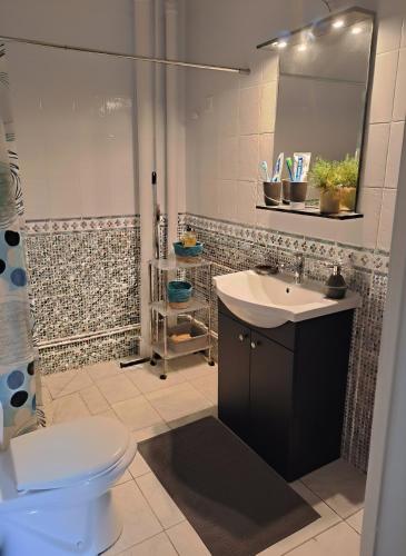 a bathroom with a sink and a mirror and a toilet at De l'îlet au Volcan in Basse-Terre