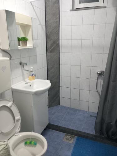 a bathroom with a toilet and a sink and a shower at Apartment with two bedrooms in Glogošnica