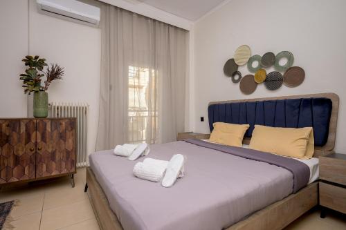 Cosy Center AXD Studio