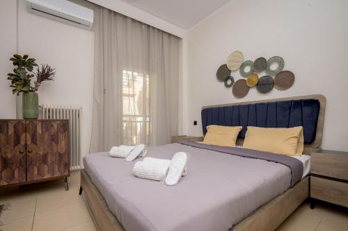 Cosy Center AXD Studio