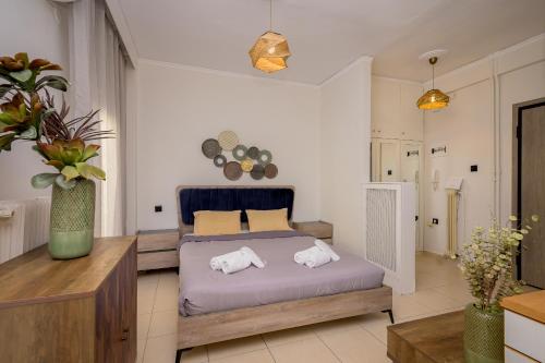 Cosy Center AXD Studio