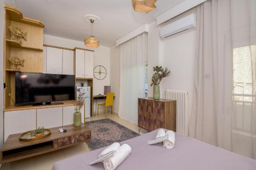 Cosy Center AXD Studio