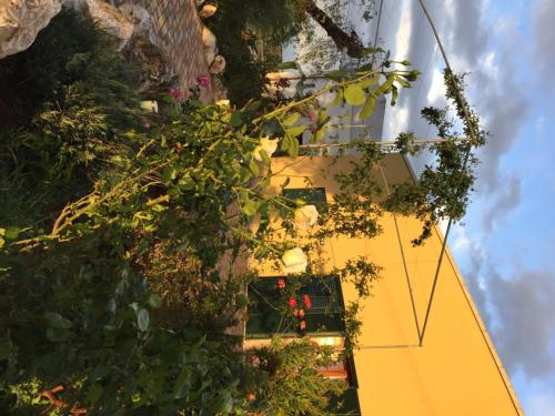 a yellow building with plants on the side of it at Agriturismo Mele in Copertino