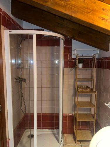 a shower in a bathroom with red tile at Casa de La Consentida in Elciego