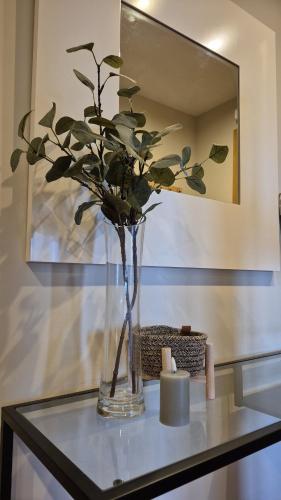a glass vase with a plant on a glass table at Apartamento Sandy - wifi, ascensor, vistas al Mar,Amplio y Acogedor in Laxe