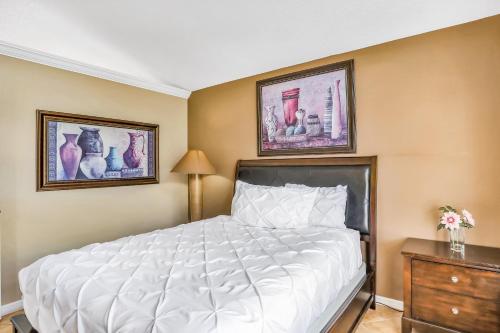 Dog-friendly home with private outdoor pool, high-speed WiFi, and central AC photo 19