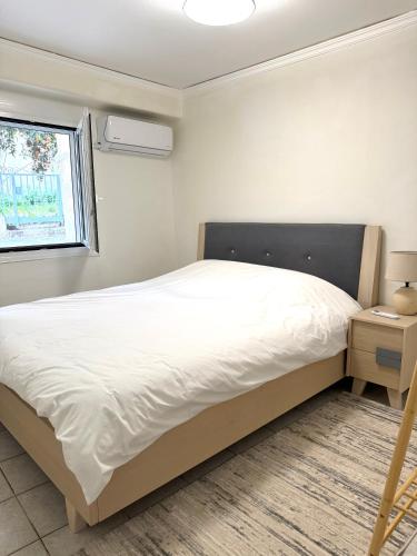 Artemis cozy apartment