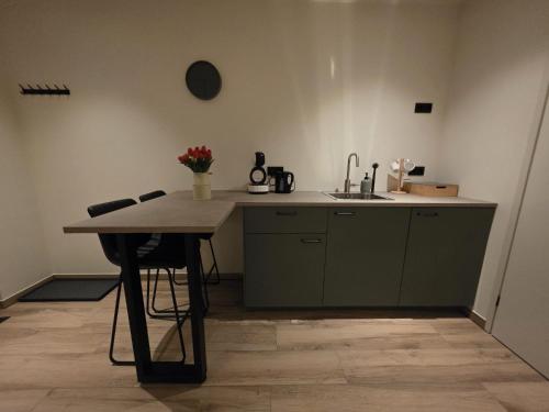 a kitchen with a counter and a sink and a table at Alpa Farm Rouveen in Rouveen