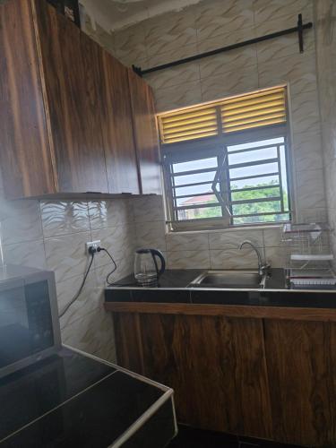 a kitchen with a sink and a window at Dorah's Apartment in Entebbe