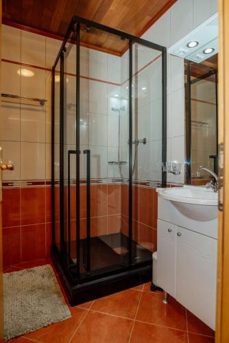 a glass shower in a bathroom with a sink at Greenhouse Klara with heated pool in Tršće