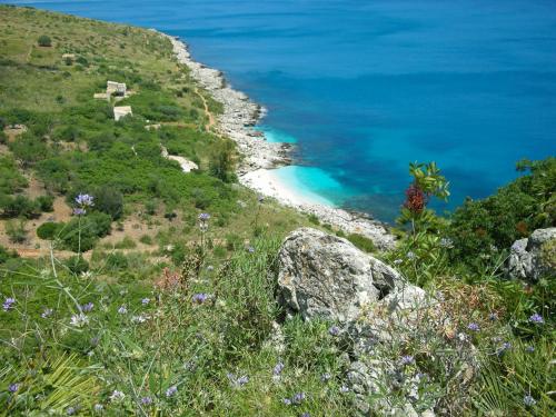 a view of the ocean from a hill with flowers at I Segreti di Antonina in Castelluzzo