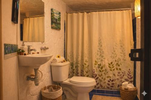 a bathroom with a toilet and a sink and a shower at 5ta SARoCO Hacienda Biocultural y Agroecoturistica in Silvania