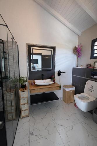 a bathroom with a sink and a toilet and a mirror at Villa zion in Deshaies
