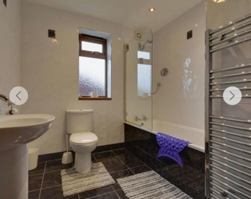 a bathroom with a toilet and a sink and a shower at Eureka Whitsands in Antony