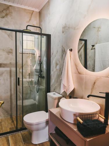 a bathroom with a shower and a toilet and a sink at Marilion Villa in Ioannina
