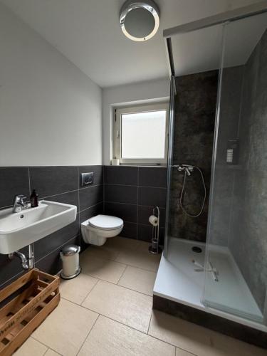 a bathroom with a shower and a toilet and a sink at Gästezimmer Kirrlach in Waghäusel