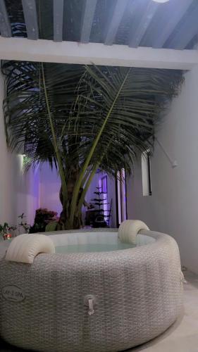 a bath tub with a palm tree in a room at chez Louise in Saly Portudal