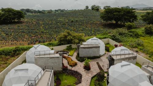 Luftaufnahme eines Bauernhofs mit Kuppeln in der Unterkunft Ishak Glamping in Tequila